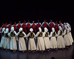 Večer folklora u Stocu 2014.